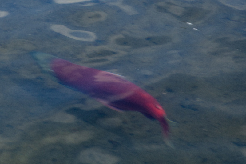 5G7A3571_R1 copy.jpg