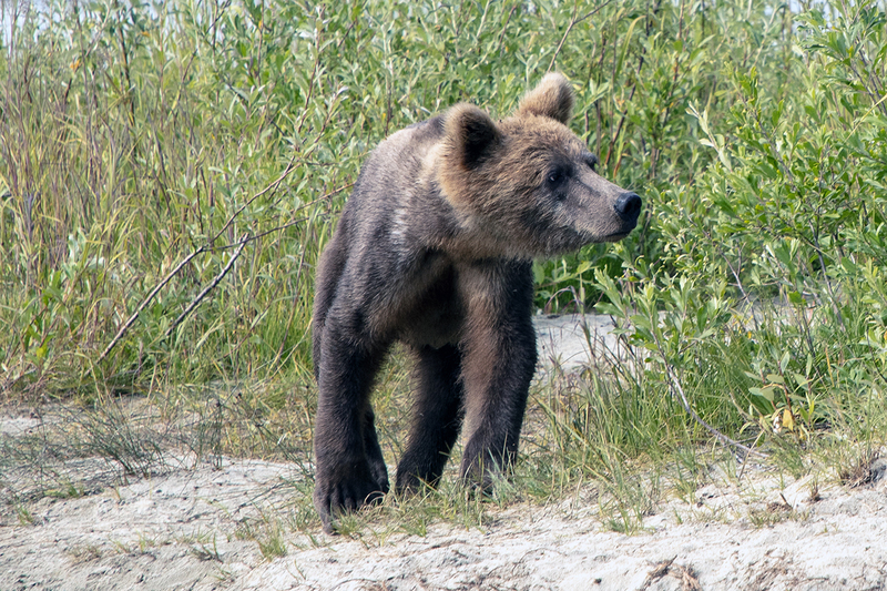 5G7A3591_R1 copy.jpg