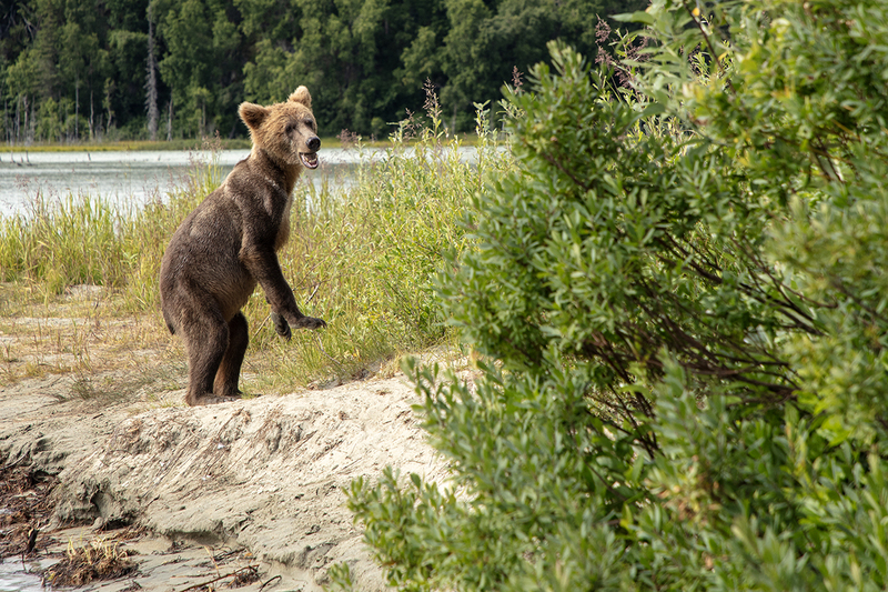 5G7A3598_R1 copy.jpg