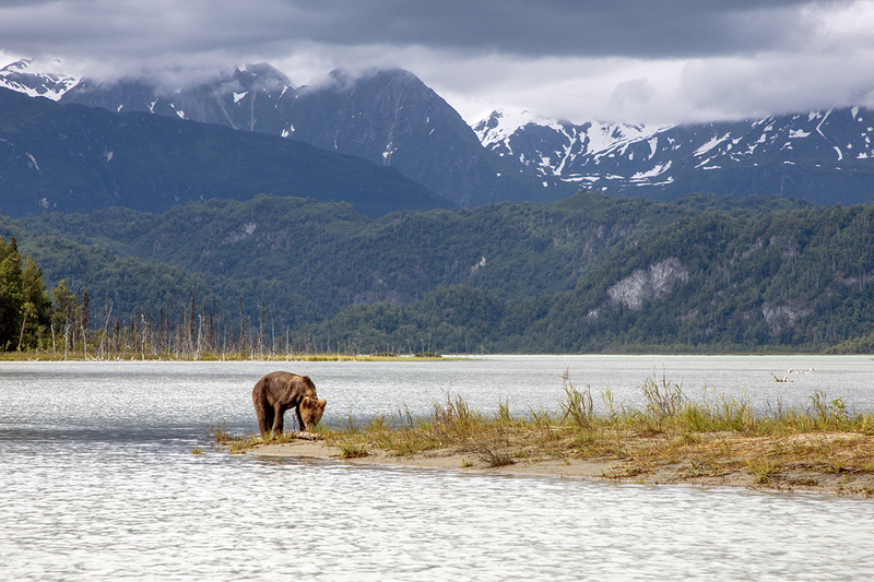 5G7A3608_R1 copy.jpg