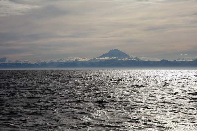 5G7A3765_R1 copy.jpg