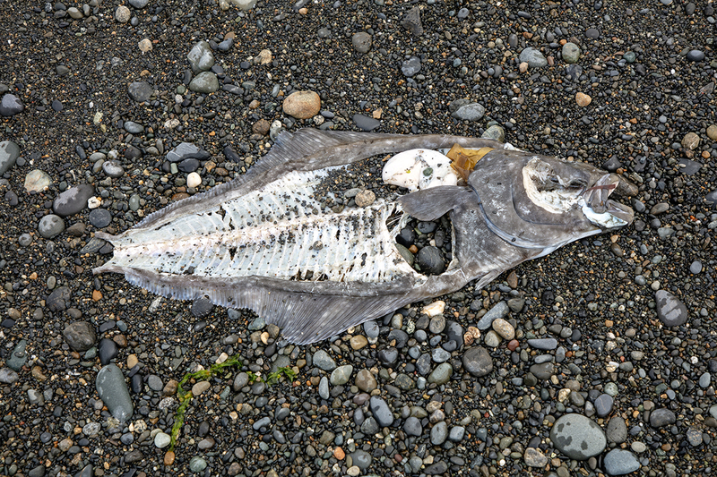 5G7A3827_R1 copy.jpg