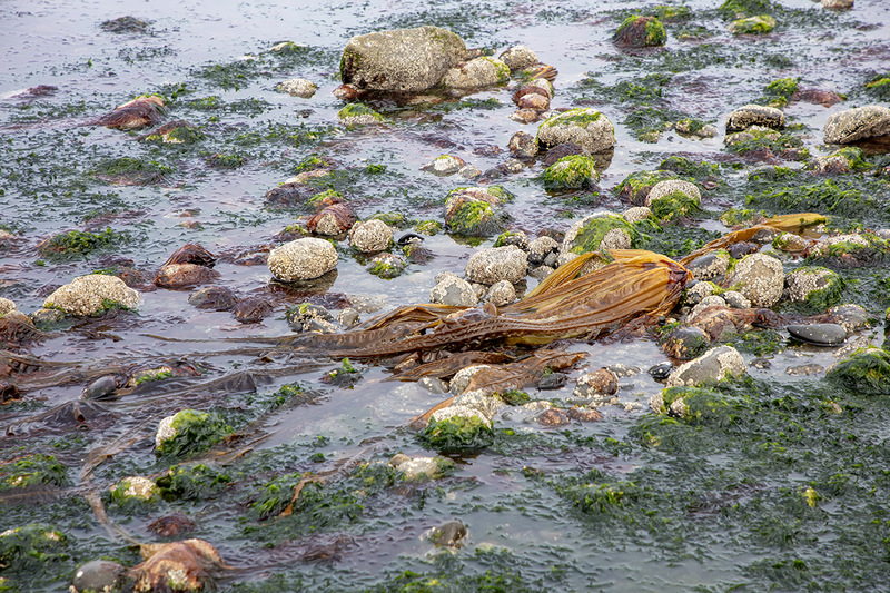 5G7A3845_R1 copy.jpg