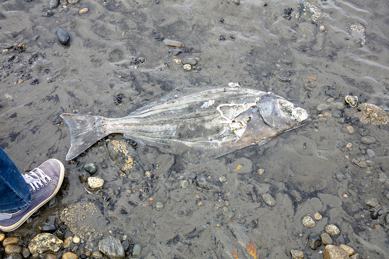 5G7A3848_R1 copy.jpg