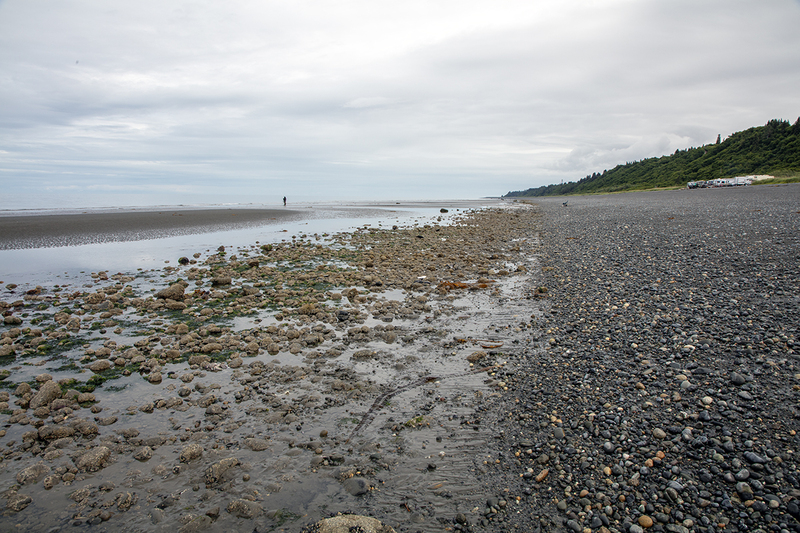 5G7A3850_R1 copy.jpg