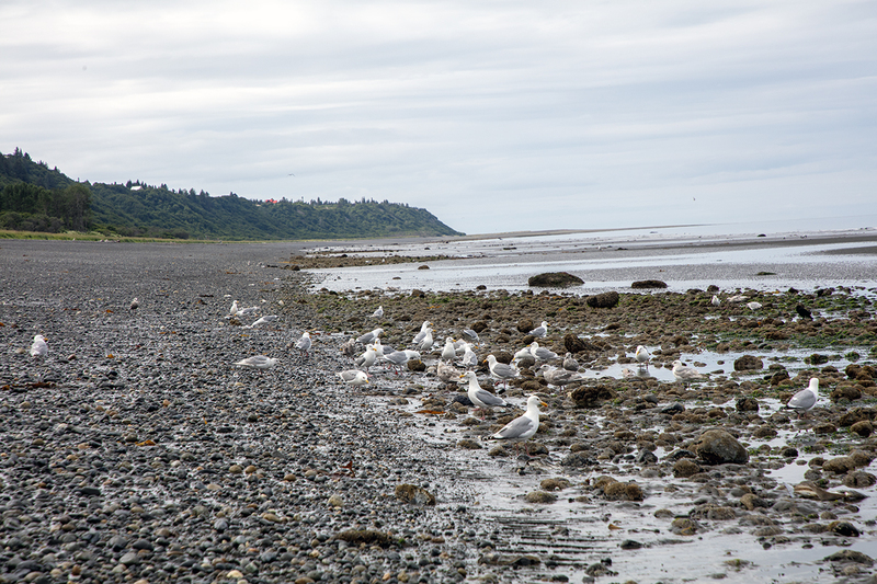 5G7A3853_R1 copy.jpg