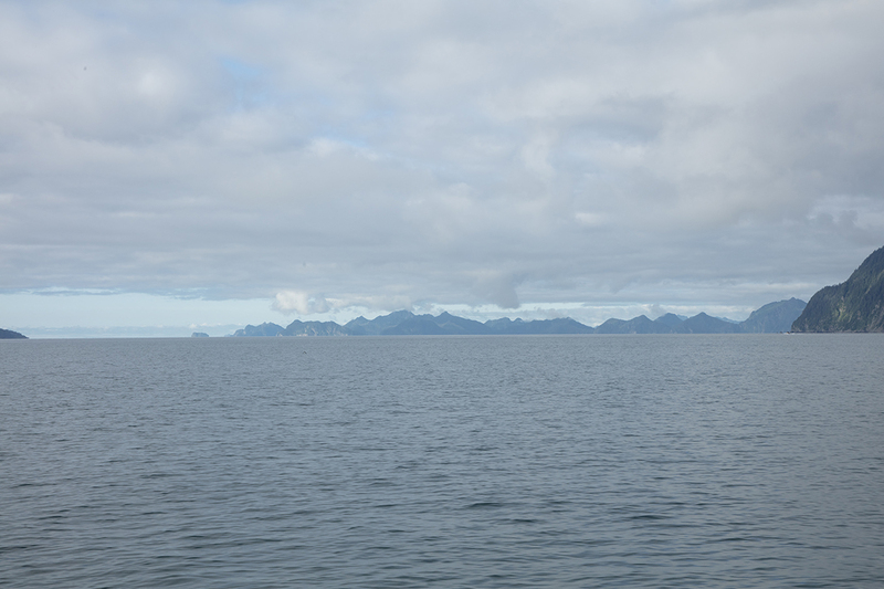 5G7A3883_R1 copy 2.jpg