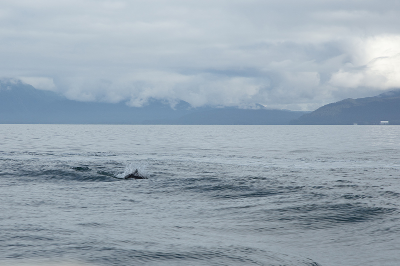 5G7A3940_R1 copy 2.jpg