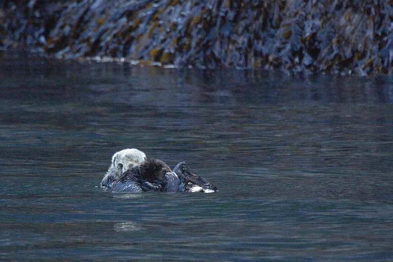 5G7A3998_R1 copy 2.jpg