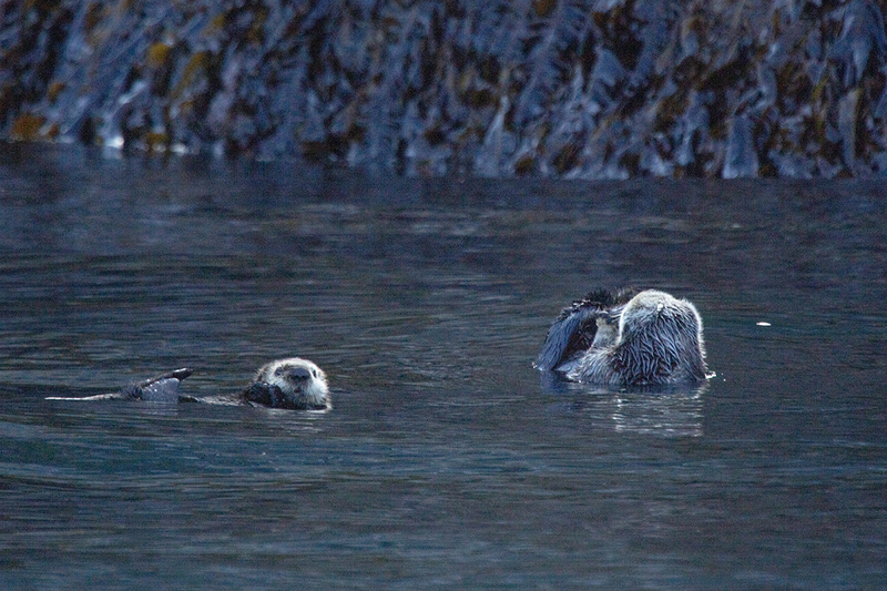 5G7A4004_R1 copy 2.jpg