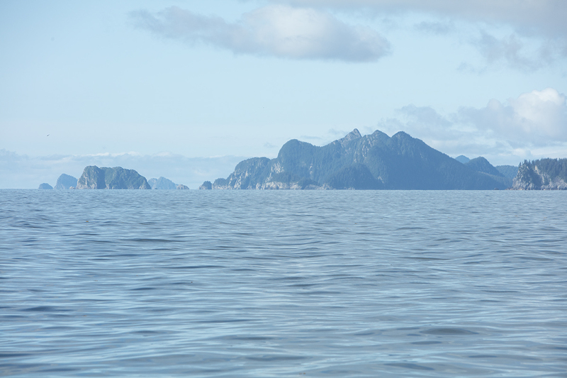 5G7A4048_R1 copy.jpg