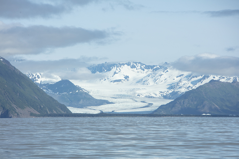 5G7A4056_R1 copy 2.jpg