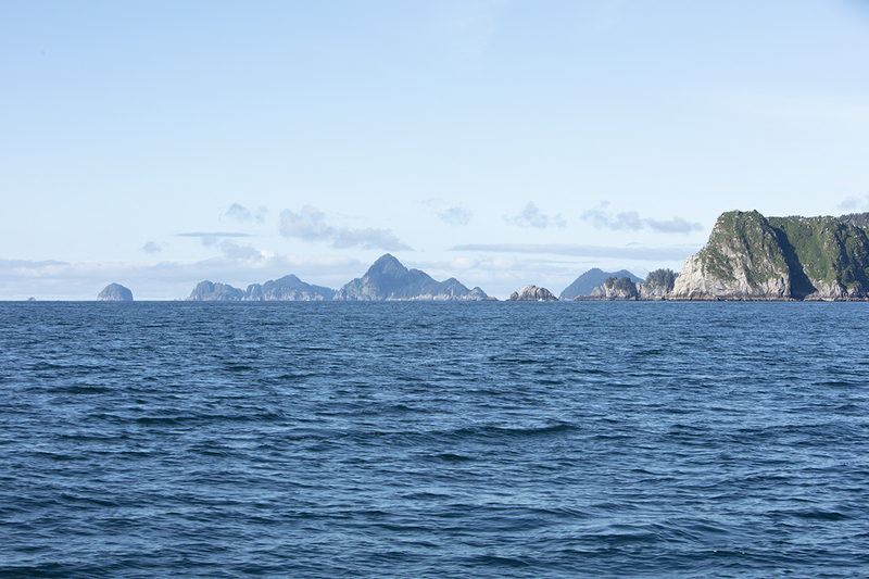 5G7A4082_R1 copy.jpg