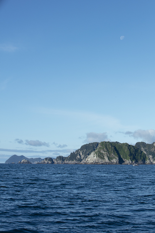 5G7A4090_R1 copy.jpg