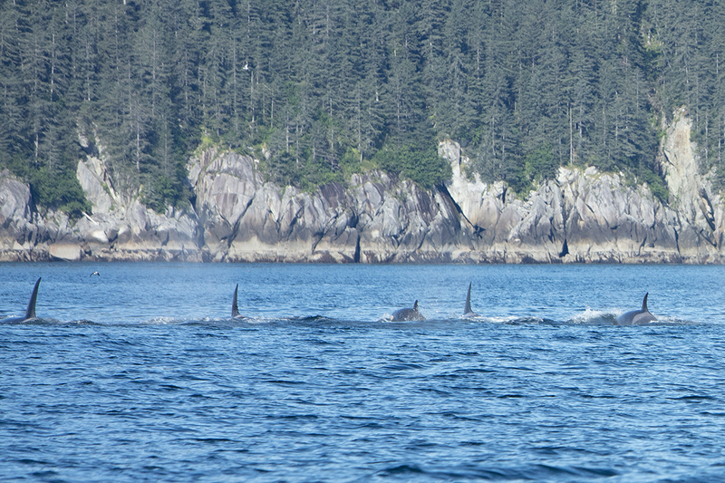 5G7A4108_R1 copy.jpg