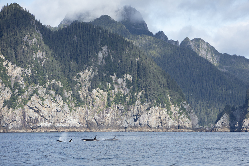 5G7A4146_R1 copy.jpg