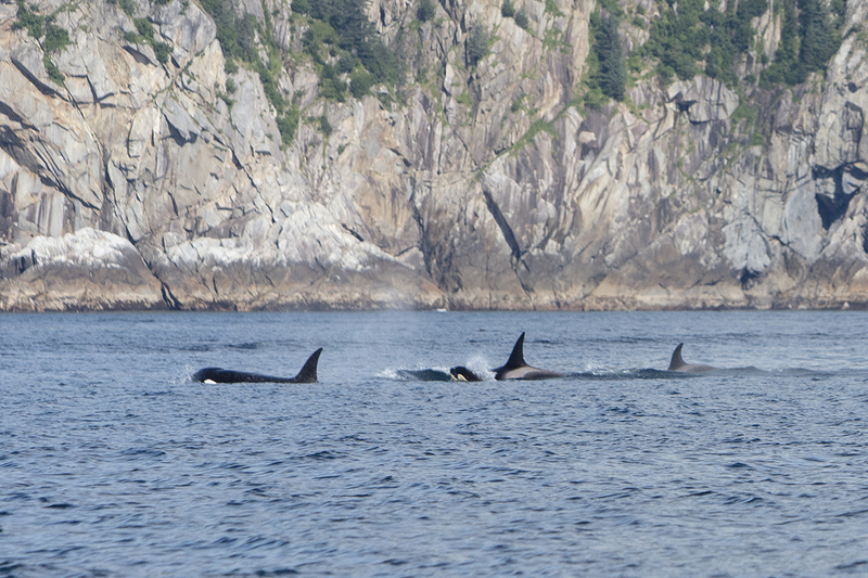 5G7A4148_R1_1 copy(1).jpg