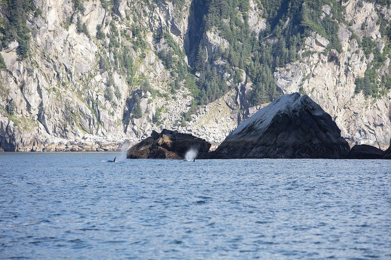 5G7A4206_R1 copy.jpg