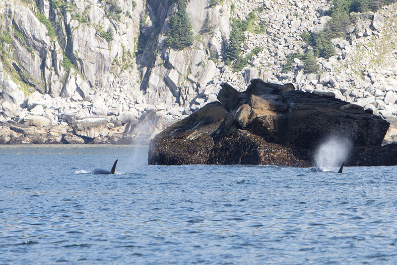 5G7A4206_R1_1 copy(1).jpg