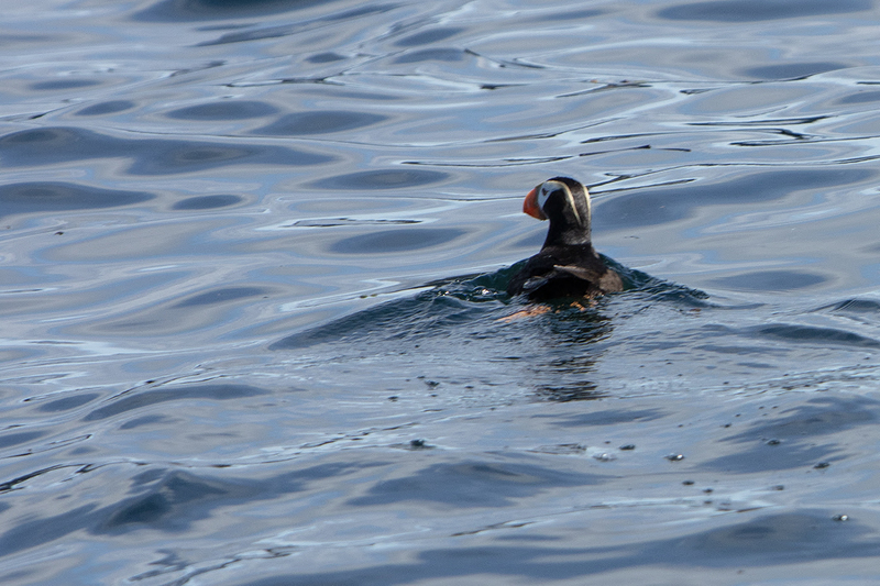 5G7A4214_R1 copy.jpg