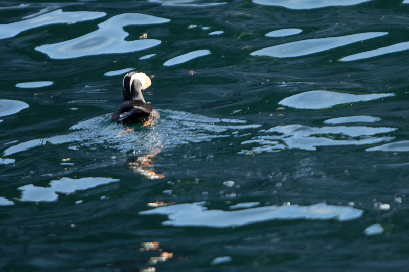 5G7A4216_R1 copy(1).jpg