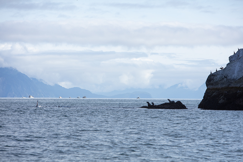 5G7A4227_R1 copy.jpg