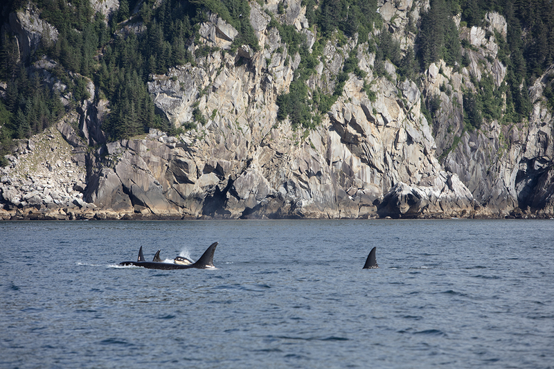 5G7A4248_R1 copy.jpg