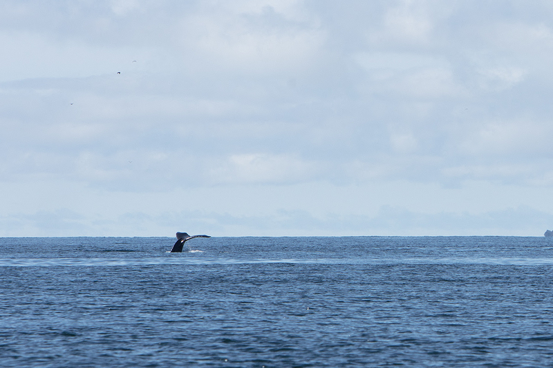 5G7A4277_R1 copy.jpg