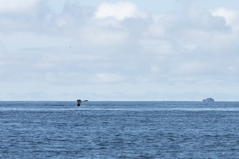 5G7A4278_R1 copy.jpg