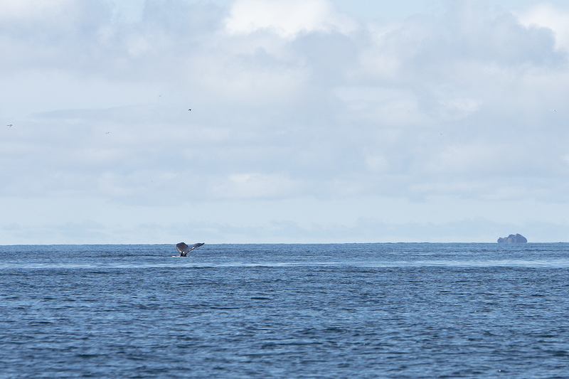 5G7A4279_R1 copy.jpg