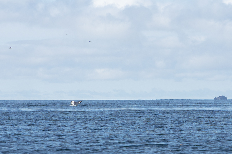 5G7A4280_R1 copy.jpg