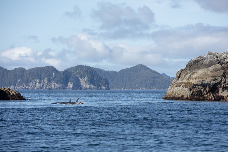 5G7A4305_R1 copy.jpg