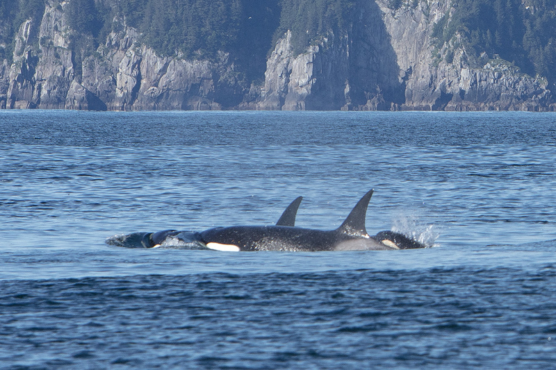 5G7A4305_R1_1 copy.jpg