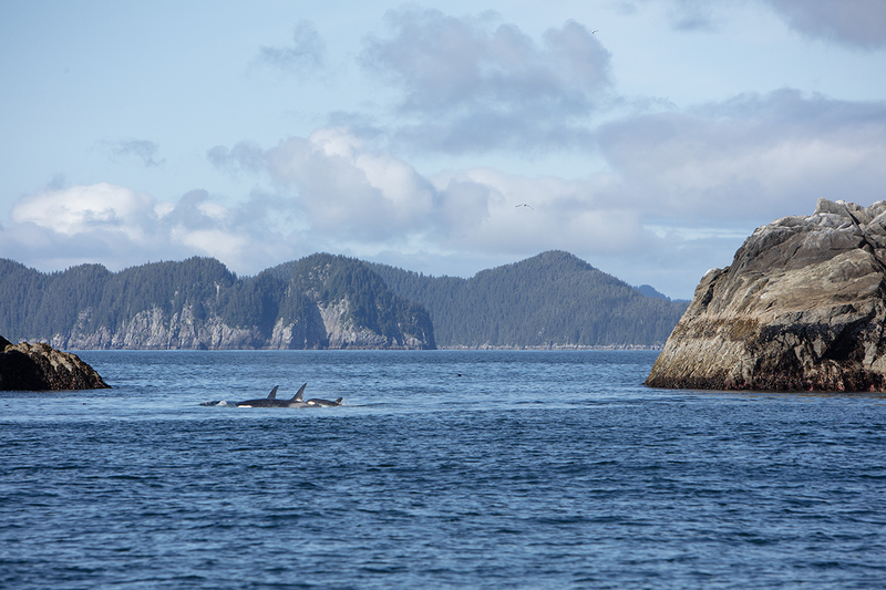 5G7A4306_R1 copy.jpg