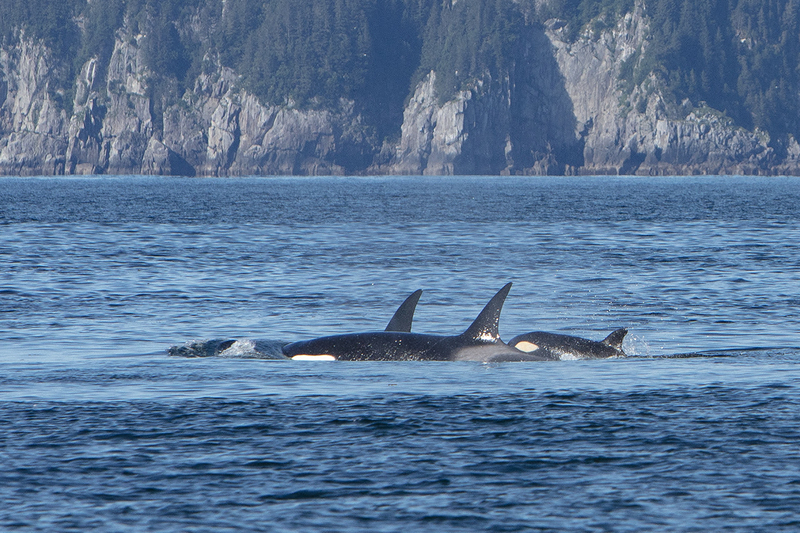 5G7A4306_R1_1 copy.jpg