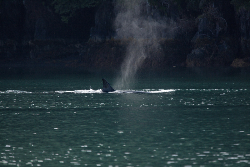 5G7A4386_R1 copy.jpg