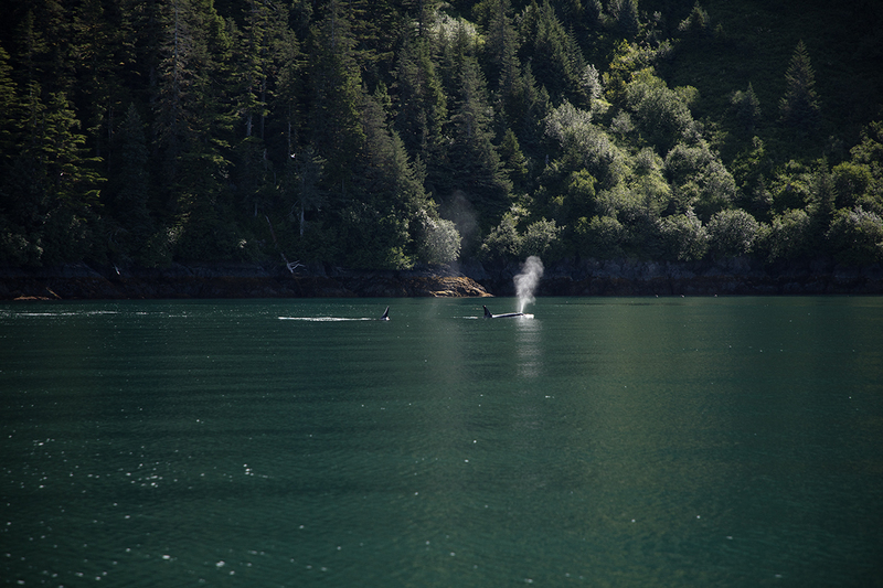 5G7A4429_R1 copy.jpg