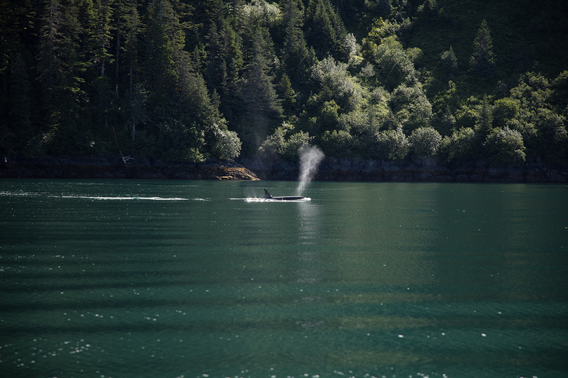 5G7A4438_R1 copy.jpg