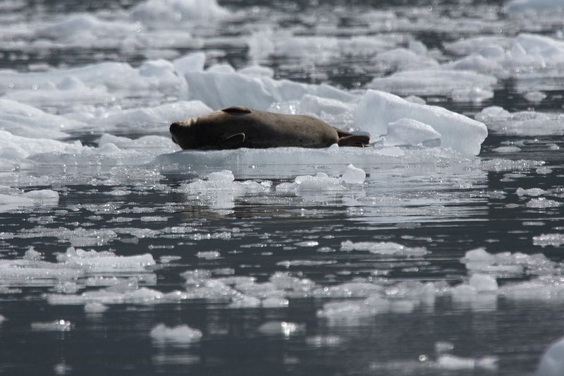 5G7A4510_R1 copy.jpg