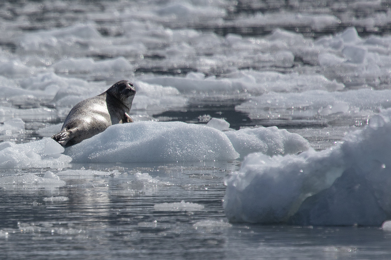 5G7A4520_R1 copy(1).jpg