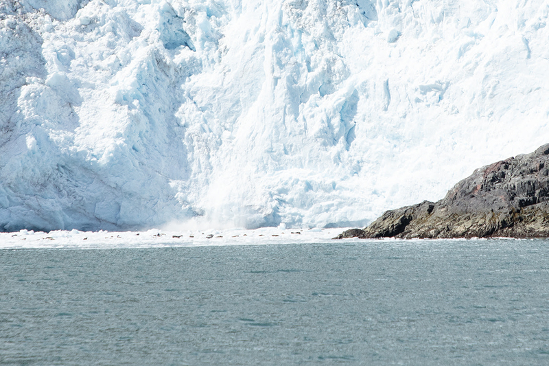 5G7A4633_R1_1 copy.jpg