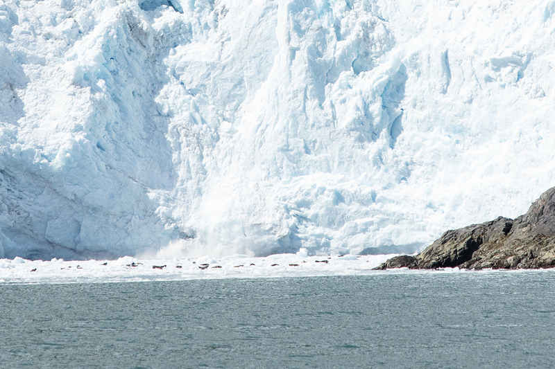 5G7A4635_R1 copy.jpg