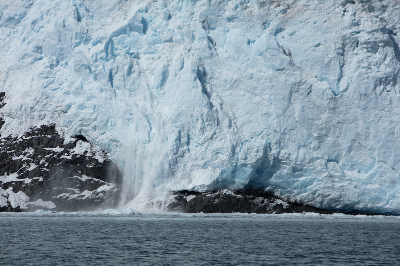 5G7A4665_R1 copy.jpg