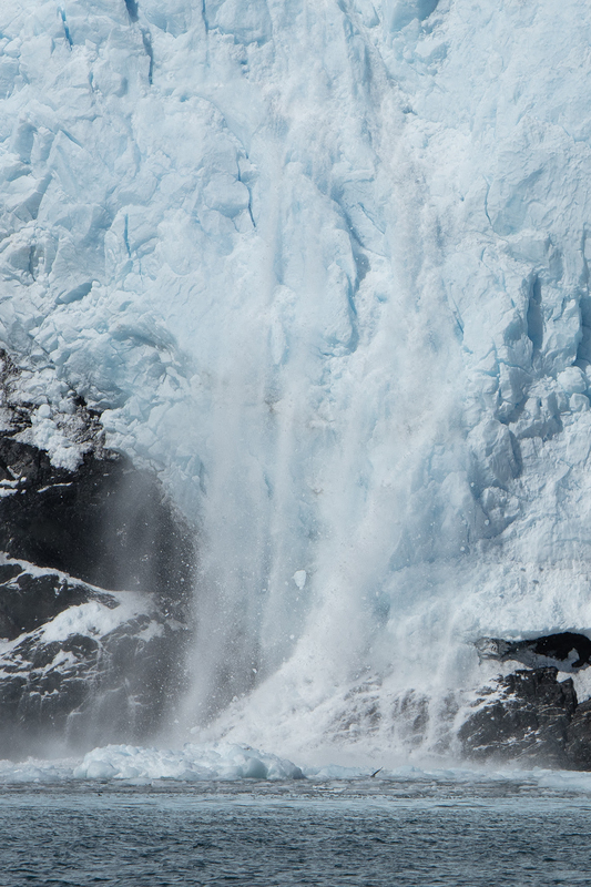 5G7A4665_R1_1 copy.jpg