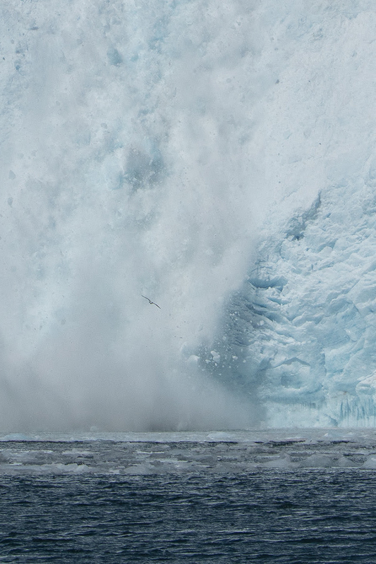 5G7A4716_R1_1 copy(1).jpg