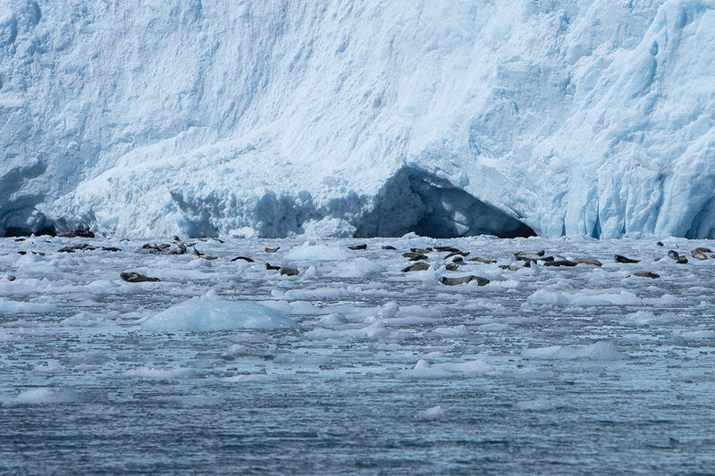 5G7A4728_R1 copy(1).jpg