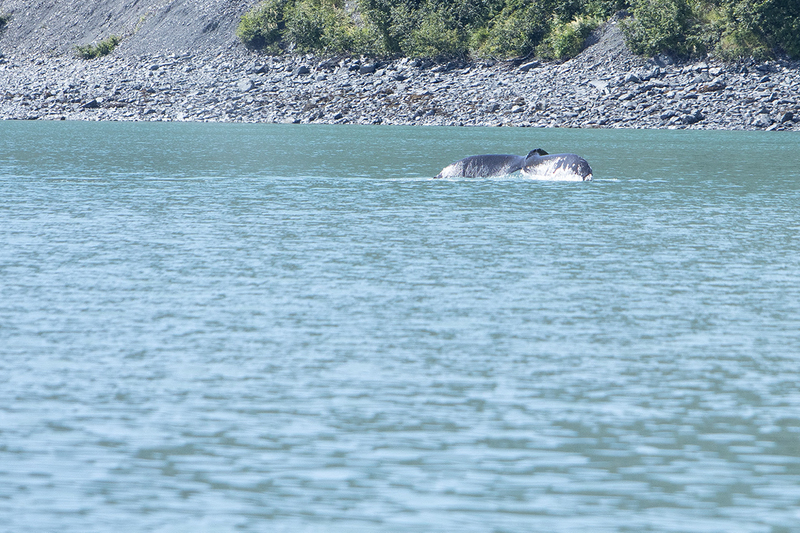 5G7A4769_R1 copy(1).jpg