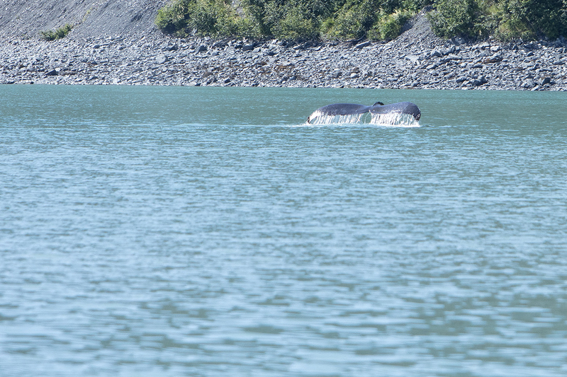 5G7A4770_R1 copy.jpg