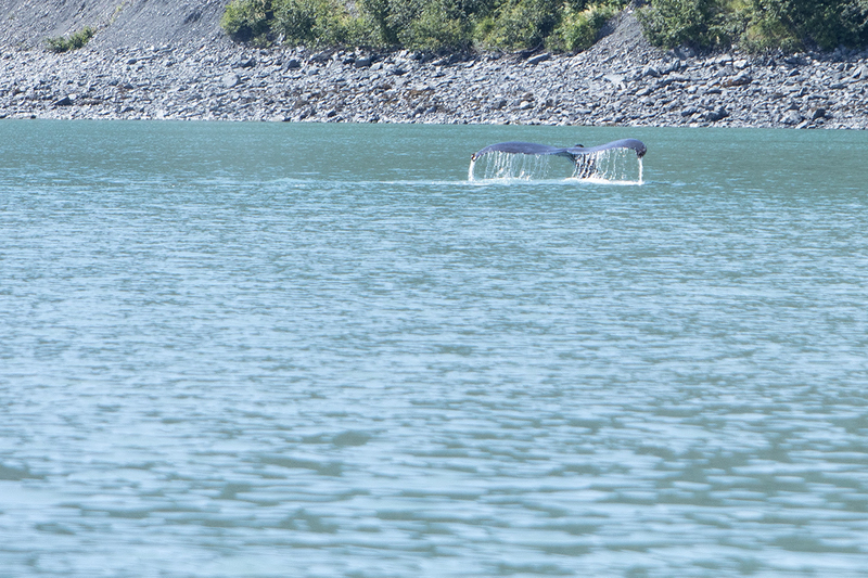 5G7A4771_R1 copy.jpg