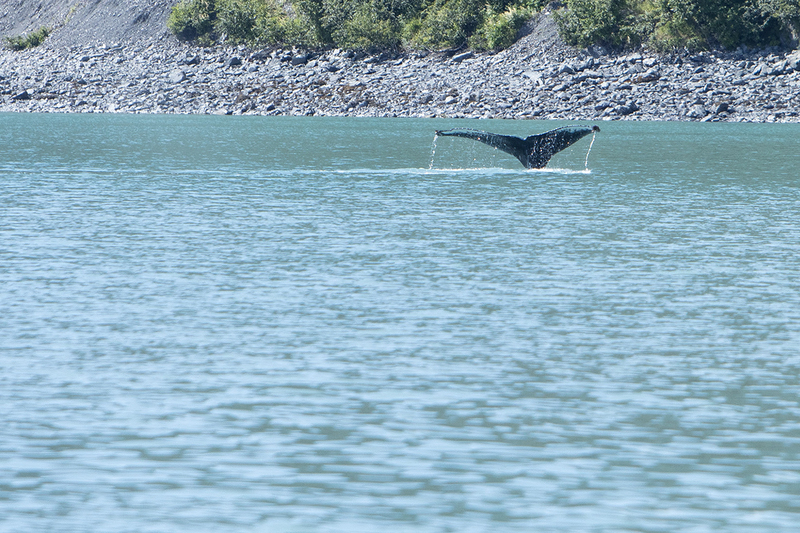 5G7A4773_R1 copy(1).jpg